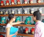 Chọn mua máy bơm nước gia đình Chọn mua máy bơm nước gia đình