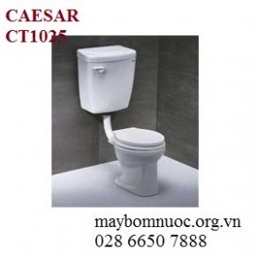 Bàn cầu trẻ em CT1025