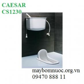 Bàn cầu xổm CS1230