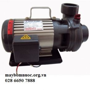 Máy Bơm Đồng Ruộng 1HP HVY250-1-75 26